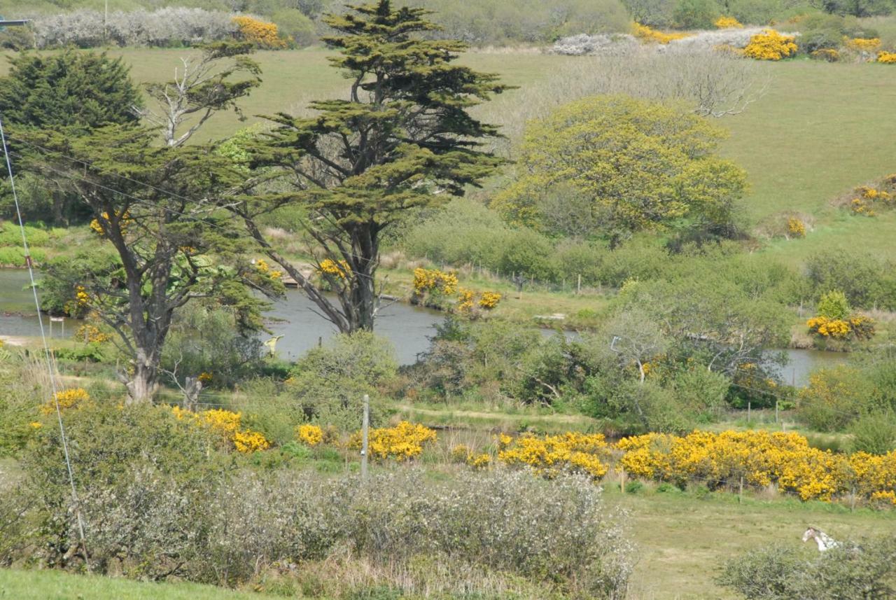 Rosecott Villa St Ives Eksteriør billede